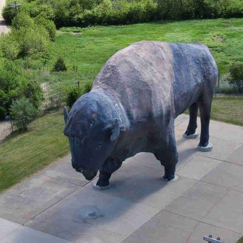World's Largest Buffalo Monument public