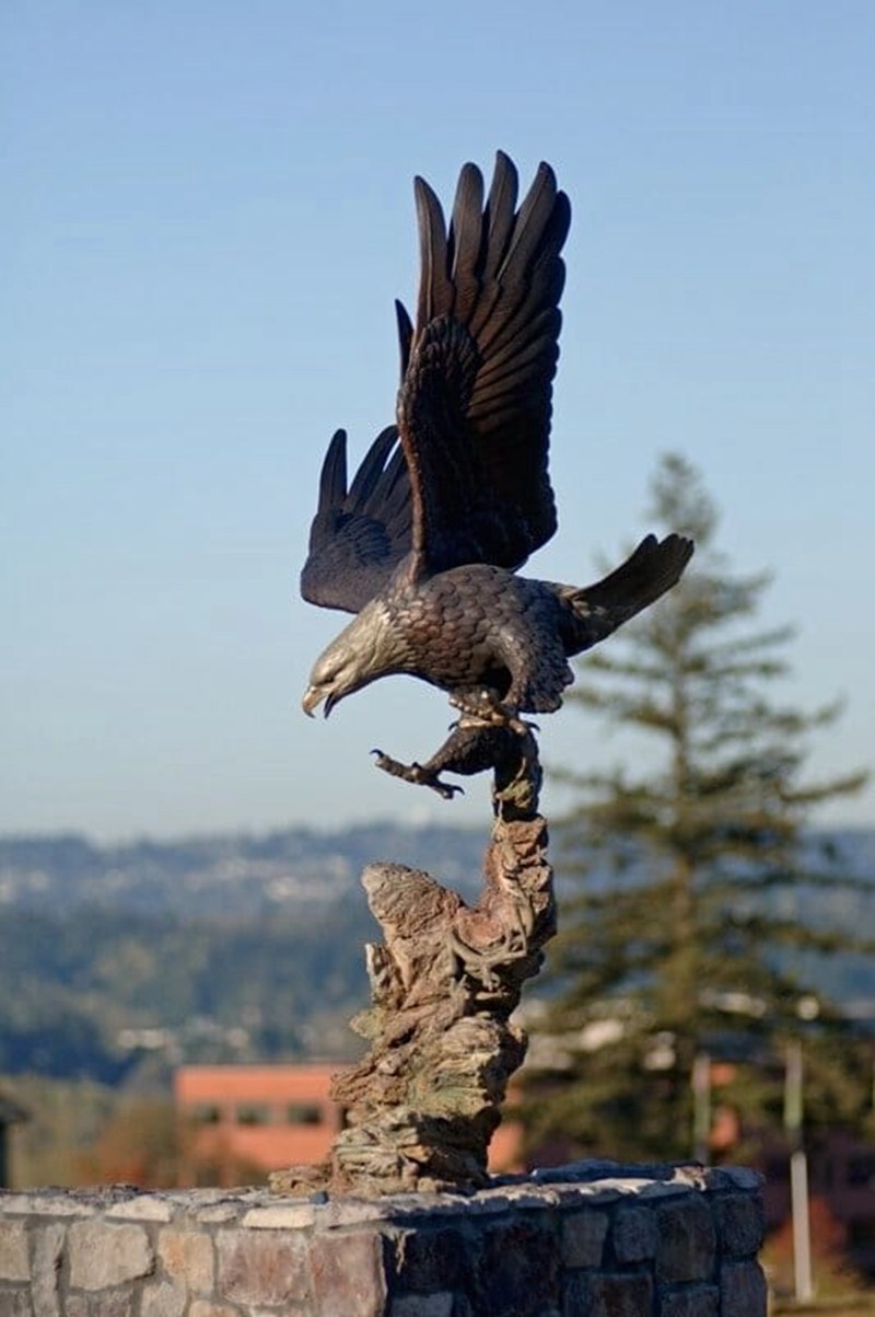 Bronze bald eagle-YouFine Sculptue